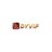 dyvipnetbr