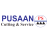 pusaanindia
