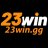 23wingg