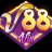 88vinystems