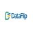 dataflipun