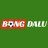bongdaluus
