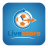 livescoreus
