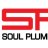 soulplumbings