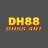 dh88art