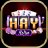 haywin1marketing
