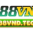 888Vndtech