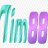 tim88promo1