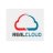 realcloudinfo