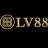 lv88nyccom1