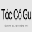 toccogucom