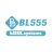 bl555systems1