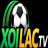 lytuongnetxoilac