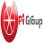 picitypigroup