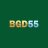bgd55icom