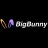 bigbunny8netp