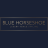 bluehorseshoe7