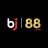 Bj88ski