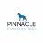 Pinnacle_Protection_