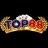 top88software