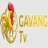 gavangtv1org