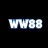 1ww88video