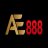 vnae888
