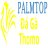 dagapalmtop