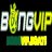 bongvipboats